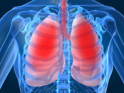 Tìm thấy cơ quan cảm thụ vị giác trong phổi người