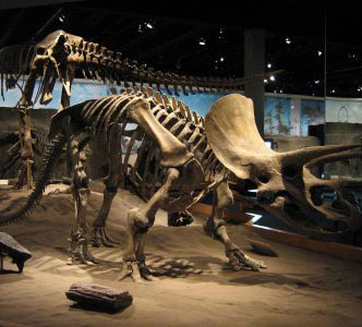 Phát hiện phôi khủng long niên đại 190 triệu năm