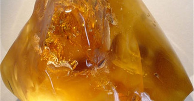 Ấn Độ phát hiện một khối hổ phách lớn nhất lịch sử 