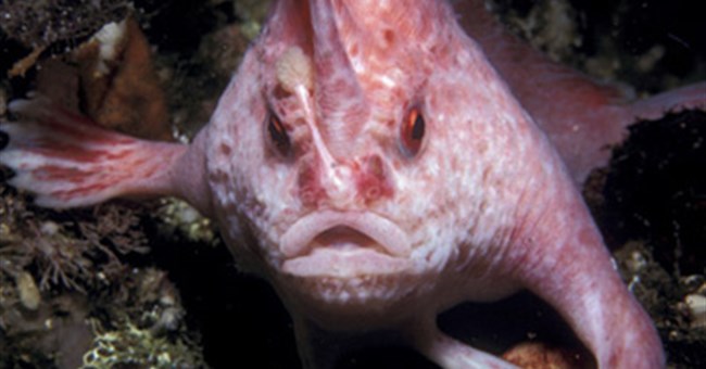 10 phát hiện ấn tượng nhất trong năm 2010