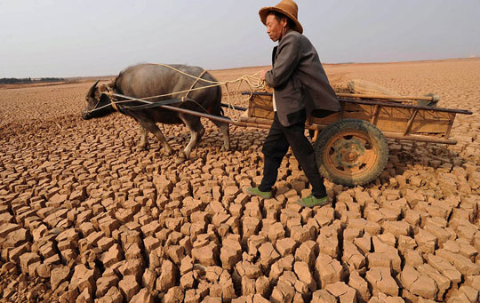 Khô hạn lan rộng gây thiệt hại nặng ở Trung Quốc