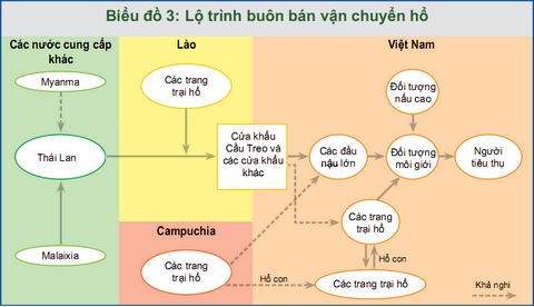 Điều tra nạn buôn bán hổ tại Việt Nam