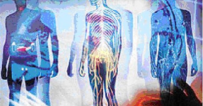 Khoa học ứng dụng: nguồn năng lượng thay thế