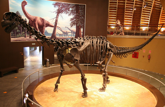 Trung Quốc tìm ra 60 quần thể dấu vết khủng long