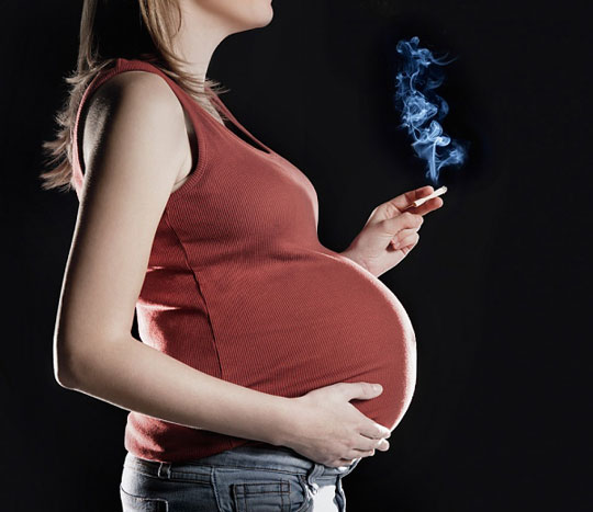 Chuột mẹ nhiễm nicotine, chuột con giảm nhận thức