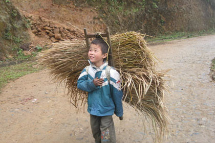Rét kỷ lục: -3,6 độ C 