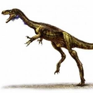 Phát hiện hóa thạch của một loài khủng long mới