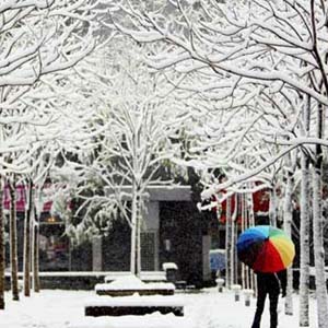 Mưa tuyết dày đặc tàn phá Tây Nam Trung Quốc 