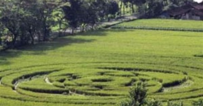 Indonesia xôn xao vì vòng tròn bí ẩn xuất hiện giữa cánh đồng