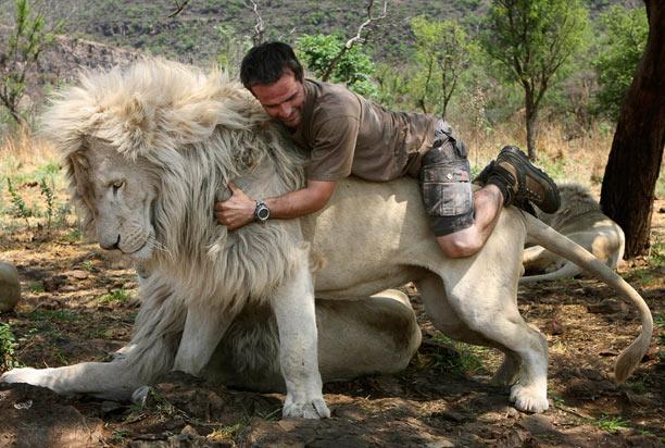 Kevin Richardson - Người bạn thân thiết của sư tử châu Phi