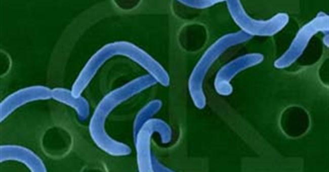 Vi trùng dịch tả hung hãn hơn do biến đổi cấu trúc 