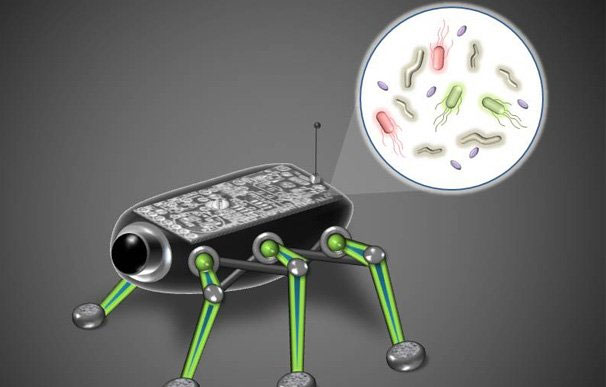 Robot thám hiểm sử dụng điện năng được tạo ra bởi vi khuẩn