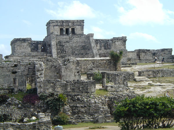Nền văn minh Maya sụp đổ do mất rừng? 