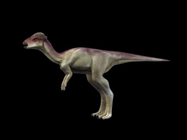 Tìm thấy hóa thạch khủng long khoảng 75 triệu năm