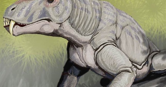 Phát hiện hóa thạch loài săn mồi cổ nhất Nam Mỹ 