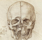 Sổ tay ghi nhớ của Leonardo Da Vinci