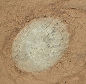 “Tò mò” làm sạch bụi trên đá sao Hỏa