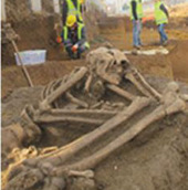 Thổ Nhĩ Kỳ phát hiện xương người niên đại 8.500 năm 