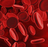 Ấn Độ công bố phát triển thành công máu nhân tạo 