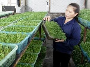 Trao đổi kinh nghiệm công nghệ sinh học Đức-Việt