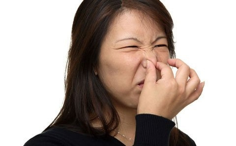 Vì đâu con người “xì hơi”?