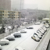Nguyên nhân hiện tượng tuyết rơi kỷ lục ở Nhật Bản 