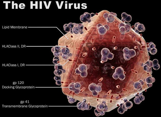 Virus HIV