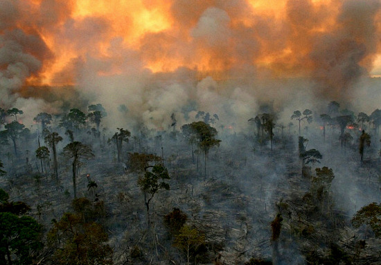 Cháy rừng là một trong những nguồn tạo ra khí carbon đen.