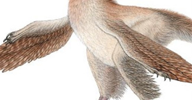 Phát hiện loài khủng long tí hon có lông từ kỷ Jura 