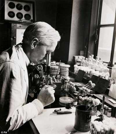 Câu chuyện về penicillin