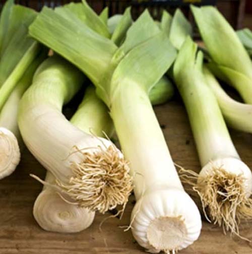 Những thực phẩm tăng cường sức khỏe vào mùa đông