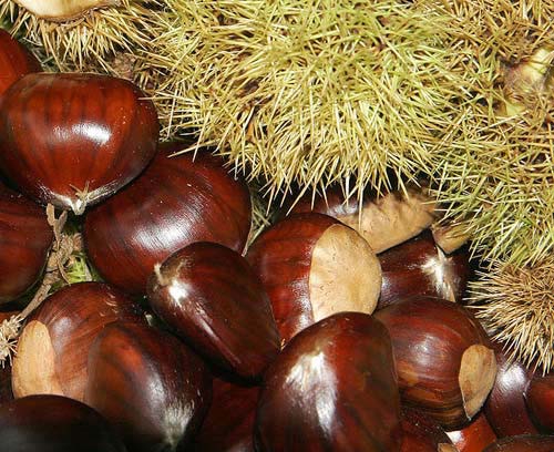 Những thực phẩm tăng cường sức khỏe vào mùa đông