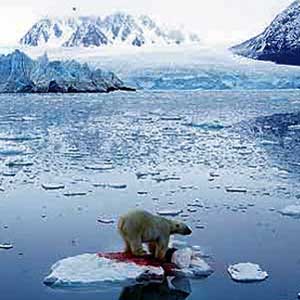 Biển Bắc cực nóng nhất 2.000 năm 