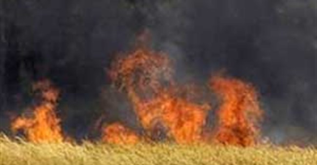 Con người khiến thời tiết biến đổi khắc nghiệt hơn