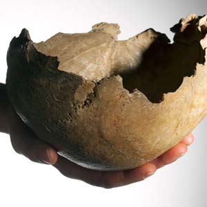 Công dụng của sọ người thời tiền sử  