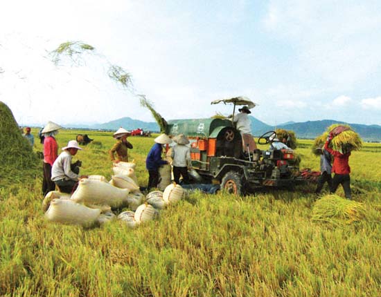 Ứng dụng công nghệ sinh học trong nông nghiệp