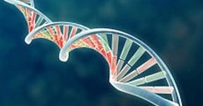 Nghiện ngập ma túy cũng mang yếu tố di truyền 