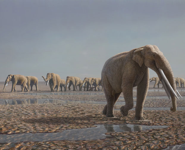 Phát hiện dấu chân voi cổ đại