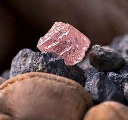 Australia: Khai quật kim cương hồng khổng lồ