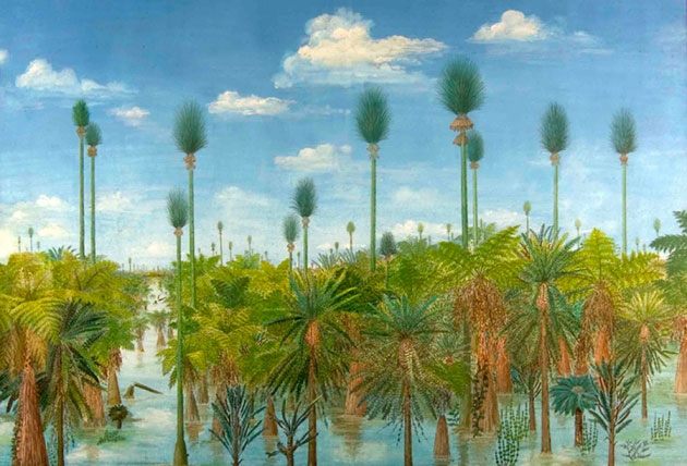 Cánh rừng 