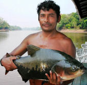 Hệ sinh thái nước ngọt của Amazon nhạy cảm với suy thoái môi trường