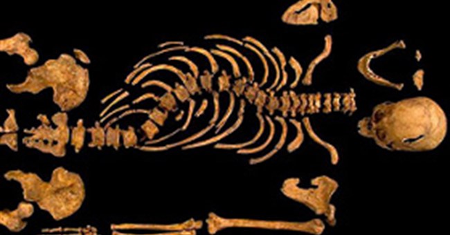 Tìm thấy hài cốt vua Anh nằm dưới bãi đậu xe  