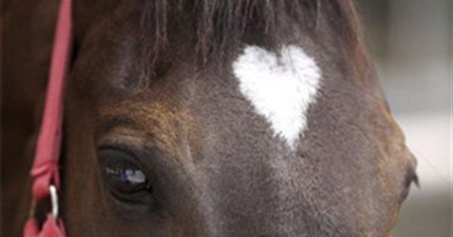 Những trái tim lãng mạn giữa thiên nhiên