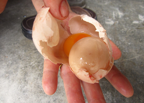 Trứng trong trứng ở Quảng Ngãi