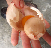 Trứng trong trứng ở Quảng Ngãi  