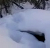 Video: Quay được hình ảnh Người tuyết ở Nga