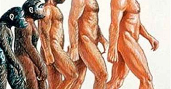 Vì sao loài người mất lông trên cơ thể?