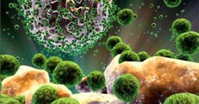 Australia tìm ra chìa khóa chữa căn bệnh HIV/AIDS