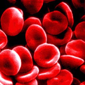 Có hơn 4.000 chất khác nhau trong máu