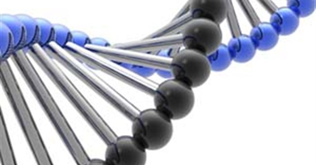 Trí thông minh không chỉ do di truyền 